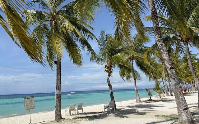 White sand and palms on Panglao Island, Bohol